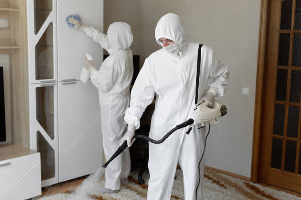 Best Industrial Mold Remediation in Newfield, NJ