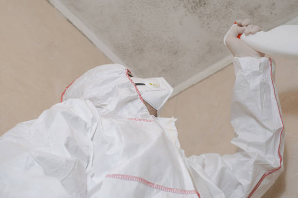 Trusted Newfield, NJ Mold Remediation Experts