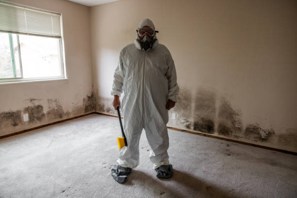 Best Post-Flood Mold Remediation in Newfield, NJ